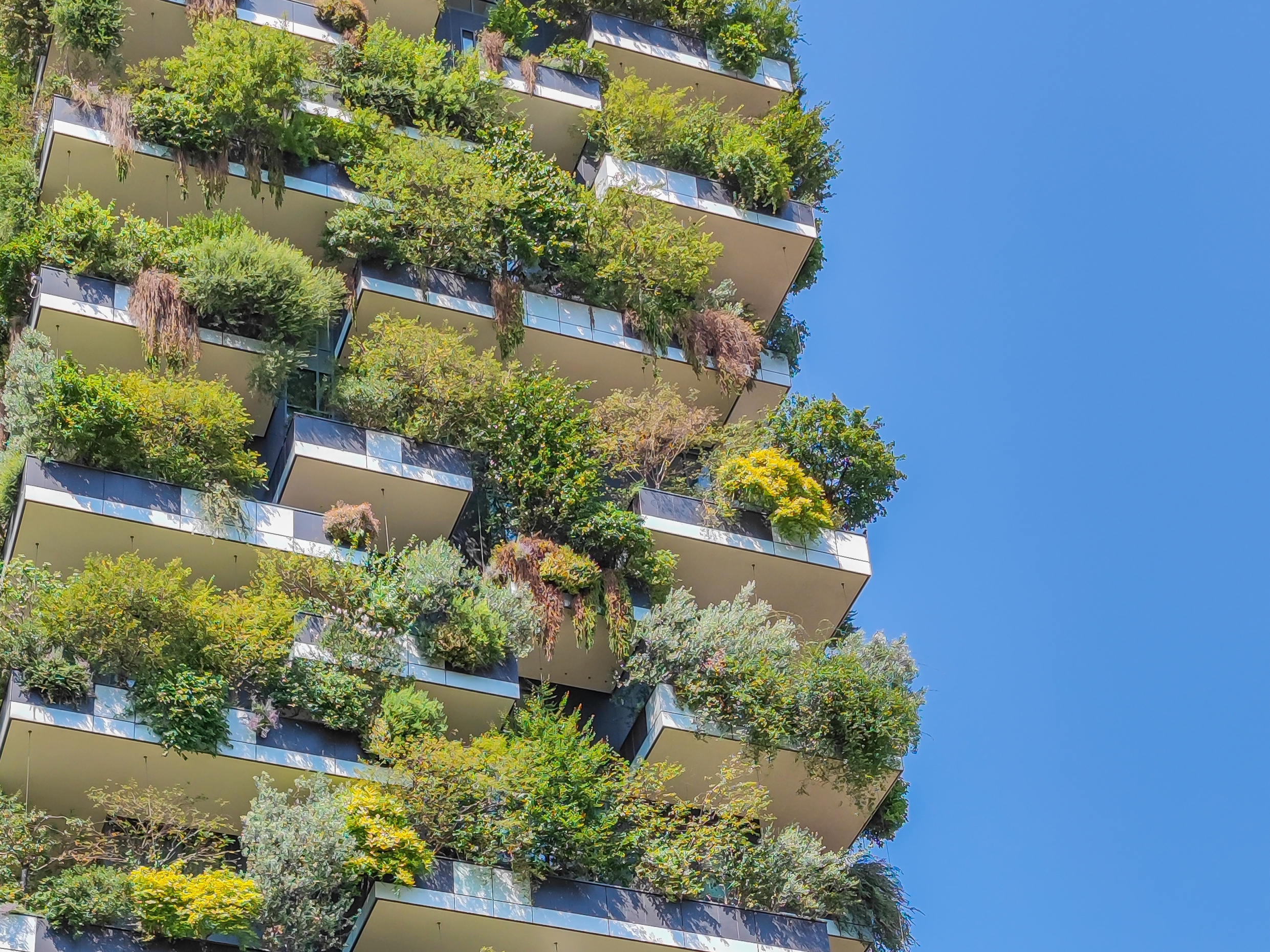 Hochhaus mit grünen Büschen und Bäumen bepflanzt