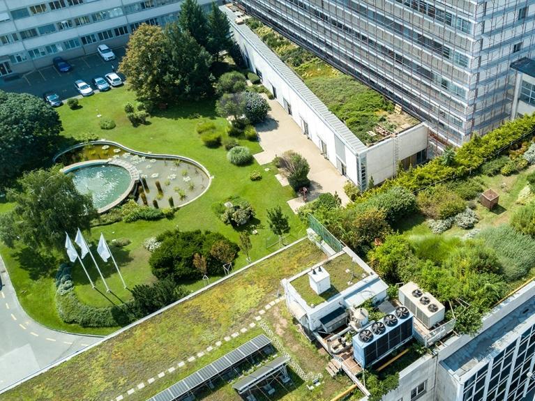 Bestandsgebäude mit begrüntem Aussenbereich